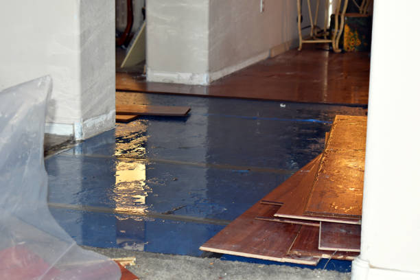 Professional Flood Damage Restoration technician working in Millington, IL